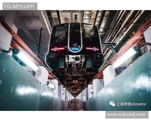 上海羽毛球队转型之路揭秘：从传统强队到现代化竞技新标杆